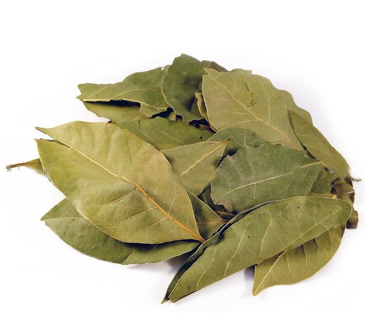 Bay Leaf